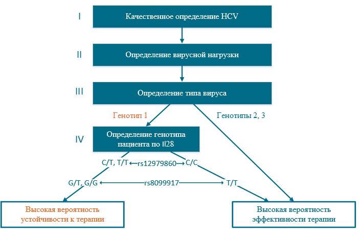 алгоритм.jpg